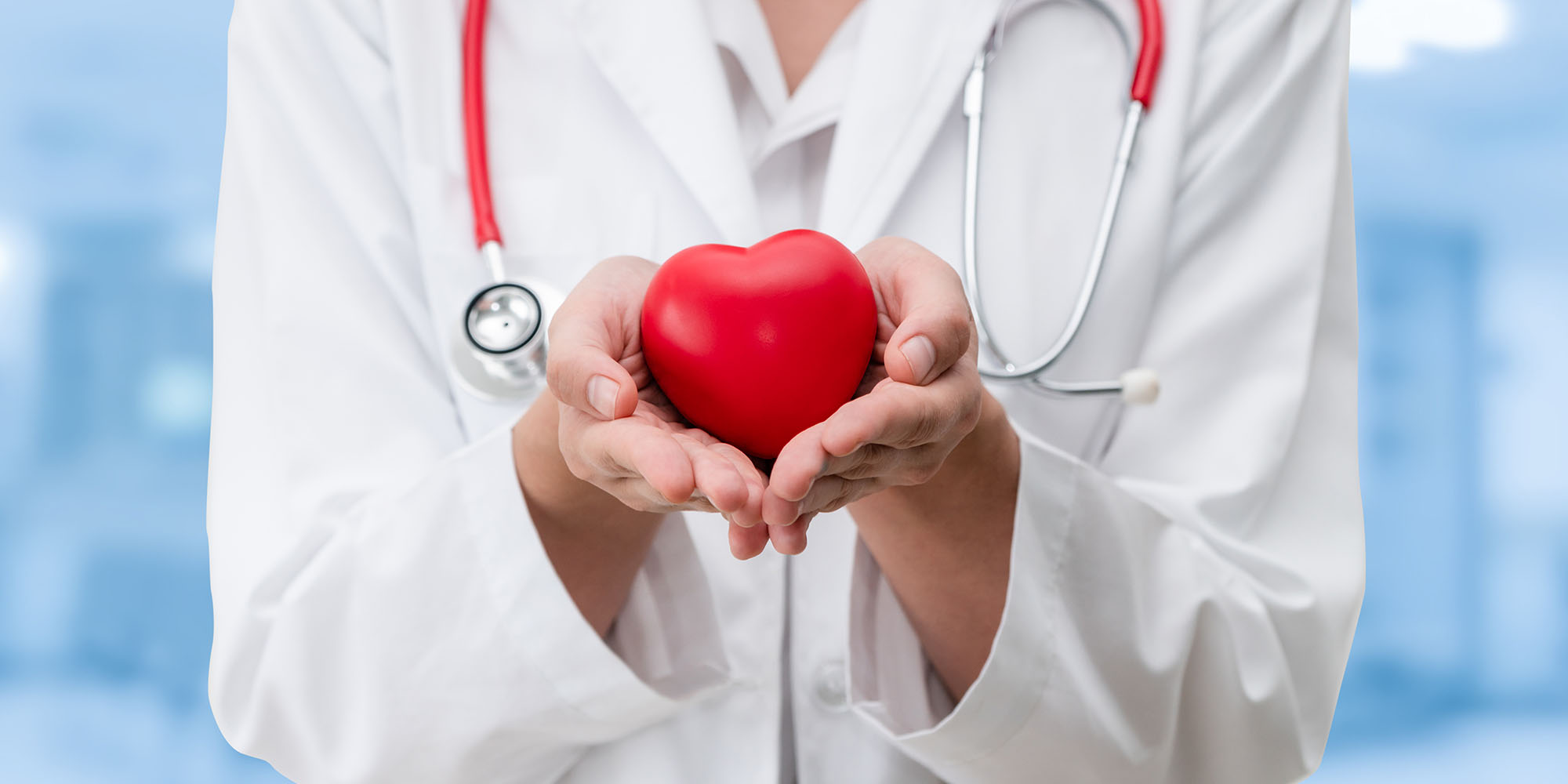 Female doctor holding a toy heart