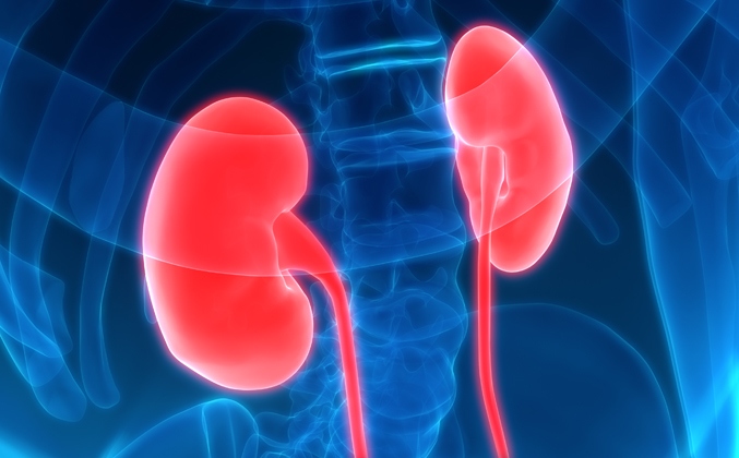 Study Finds Low Statin Use Among Kidney Disease Patients at High Risk for Cardiovascular Disease