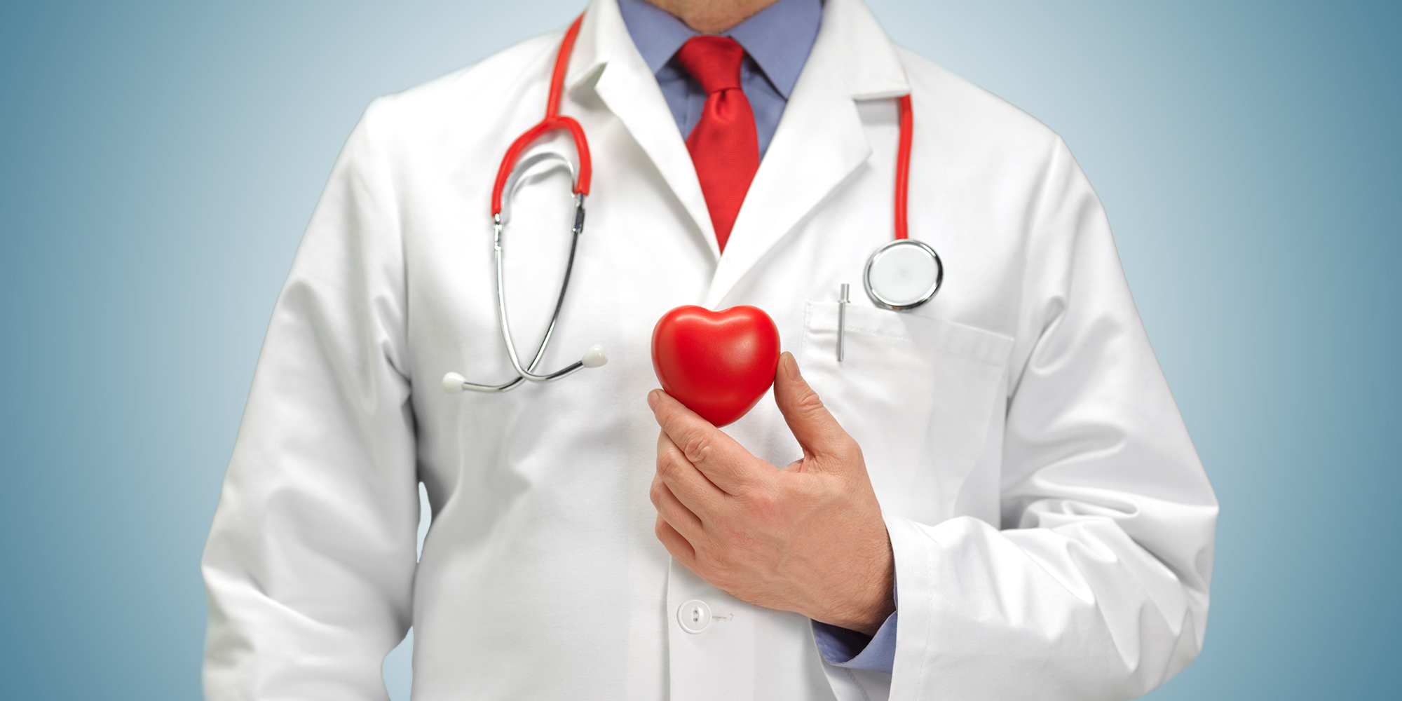 Doctor in white lab coat holding heart toy