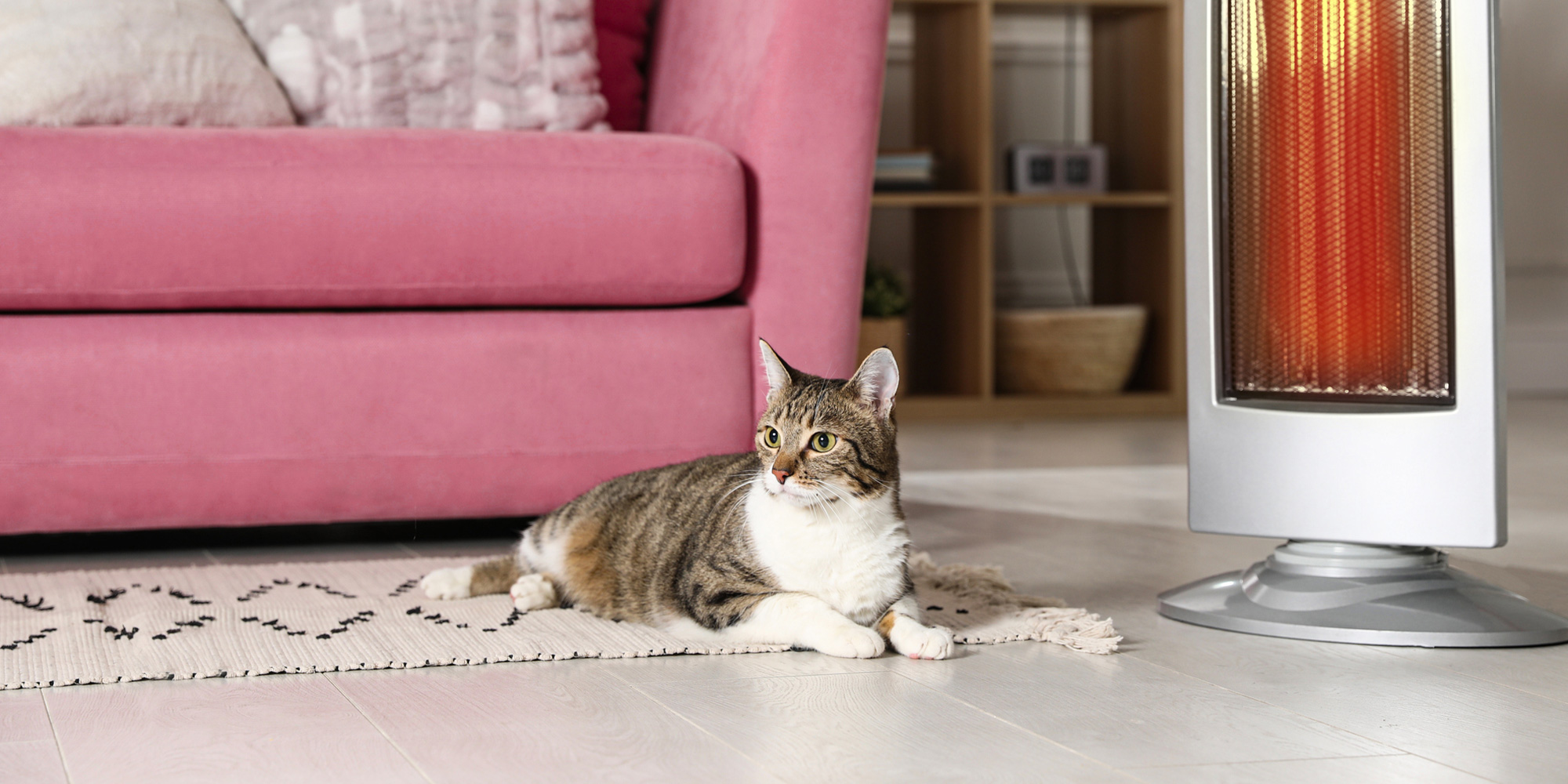 Image of a cat next to a home heater