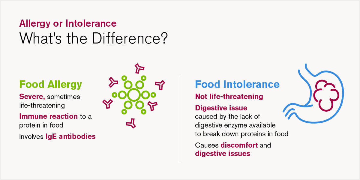 Food Allergy vs. Food Intolerance graphic