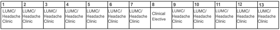 Fellow rotation schedule example