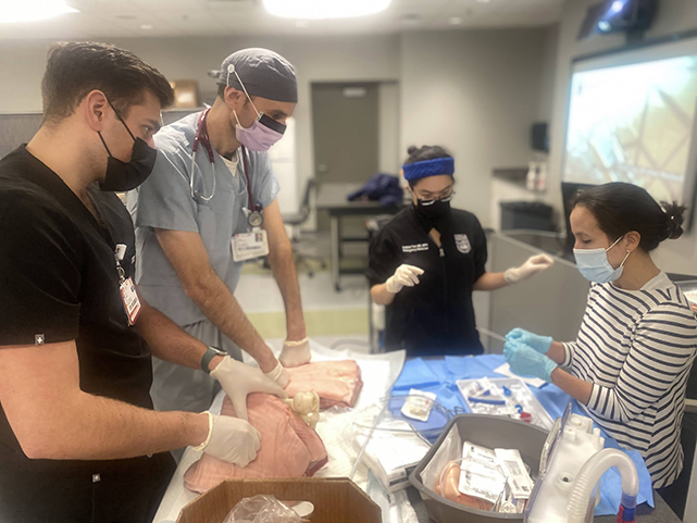 Simulation Fellows working