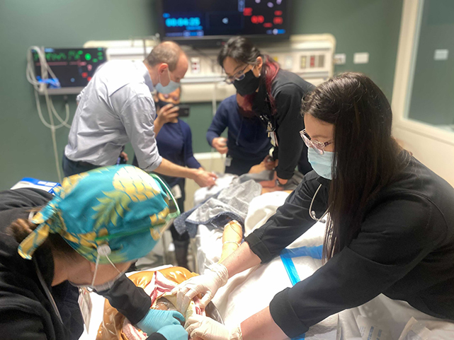 Simulation Fellows working